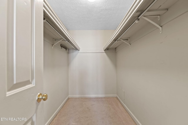 walk in closet with light colored carpet