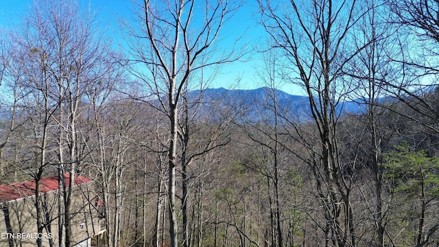 Listing photo 2 for Cove, Gatlinburg TN 37738