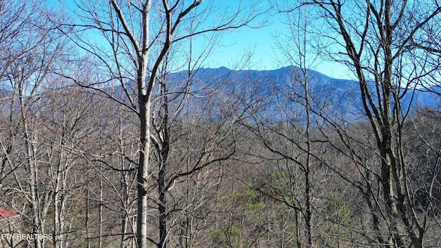 Listing photo 3 for Cove, Gatlinburg TN 37738