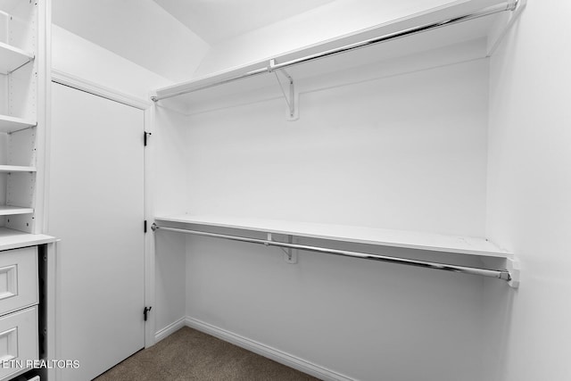 walk in closet with carpet flooring