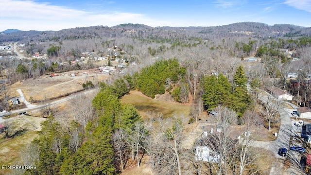 drone / aerial view with a mountain view