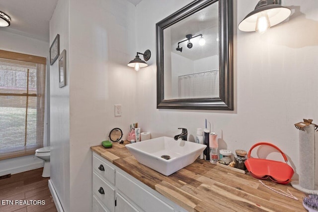 bathroom with vanity, hardwood / wood-style flooring, and toilet