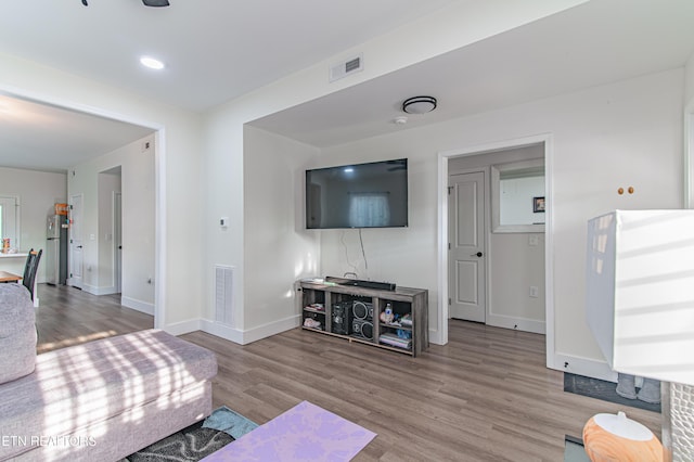 living room featuring light hardwood / wood-style flooring