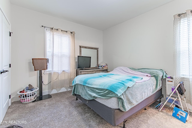 bedroom featuring multiple windows and carpet floors