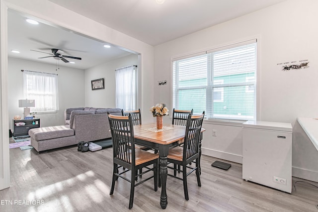 dining room with ceiling fan and light wood-type flooring