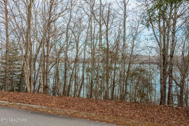 LOT127 Thief Neck Dr, Rockwood, TN 37854 - photo 14