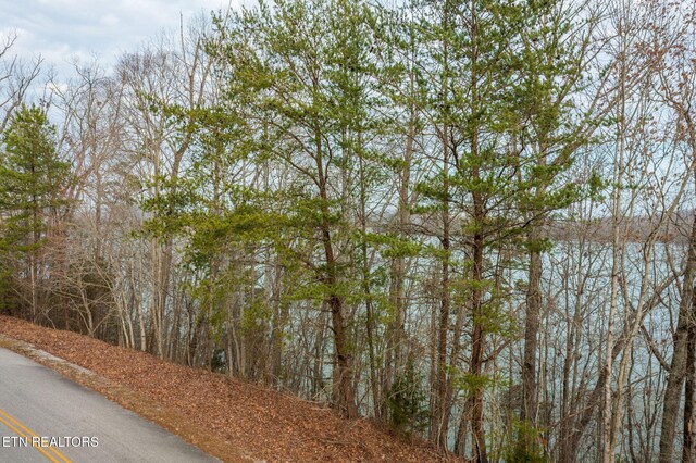 LOT127 Thief Neck Dr, Rockwood, TN 37854 - photo 7