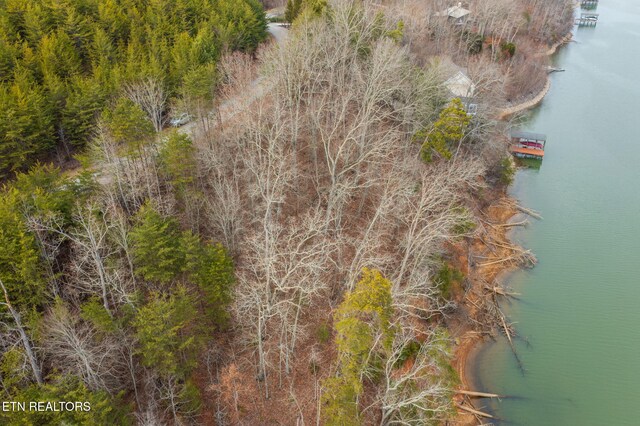 LOT127 Thief Neck Dr, Rockwood, TN 37854 - photo 8