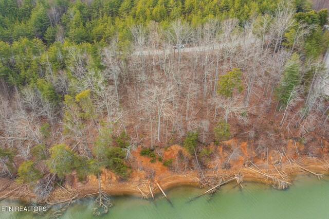 LOT127 Thief Neck Dr, Rockwood, TN 37854 - photo 10