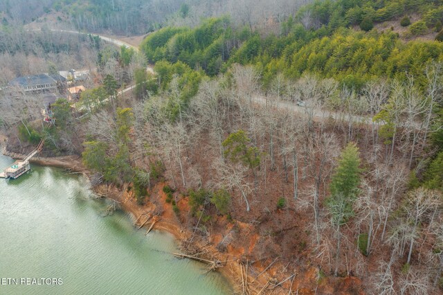 LOT127 Thief Neck Dr, Rockwood, TN 37854 - photo 11