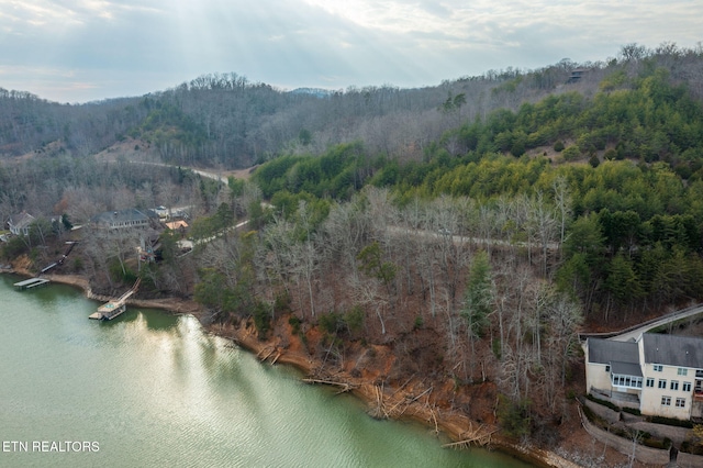 LOT127 Thief Neck Dr, Rockwood, TN 37854 - photo 4