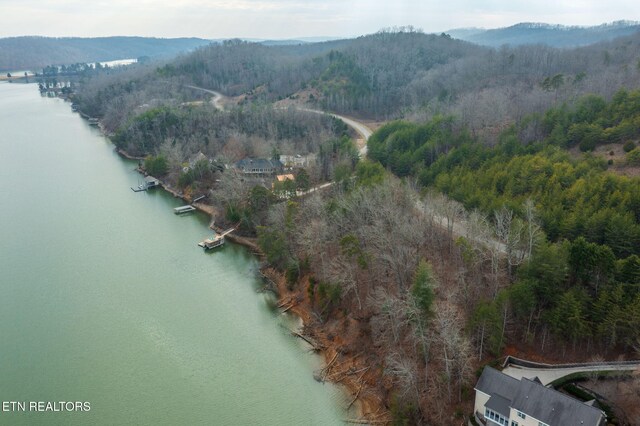 LOT127 Thief Neck Dr, Rockwood, TN 37854 - photo 12