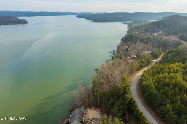 LOT127 Thief Neck Dr, Rockwood, TN 37854 - photo 3