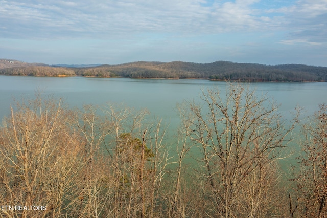 LOT127 Thief Neck Dr, Rockwood, TN 37854 - photo 5