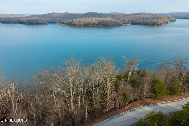 LOT146 Thief Neck Dr, Rockwood TN, 37854 land for sale