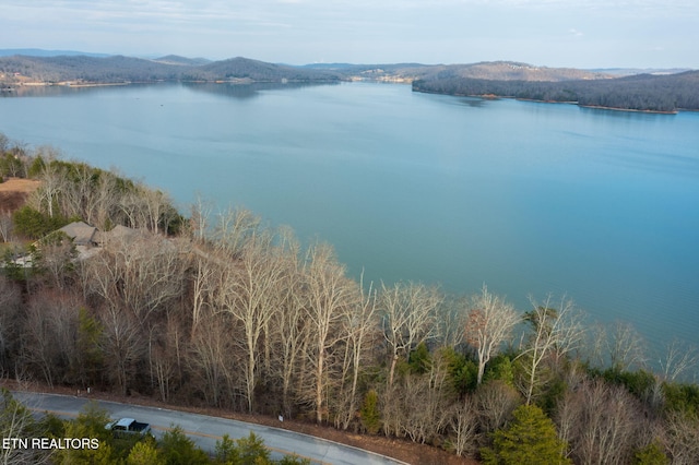 Listing photo 3 for LOT146 Thief Neck Dr, Rockwood TN 37854