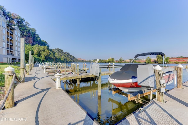 dock area with a water view