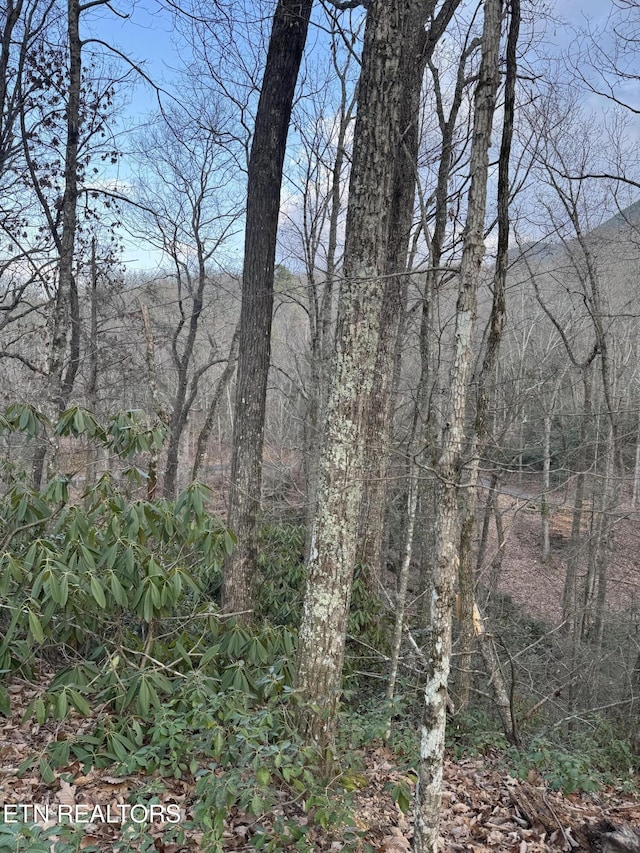 Goose Creek Rd, Seymour TN, 37865 land for sale