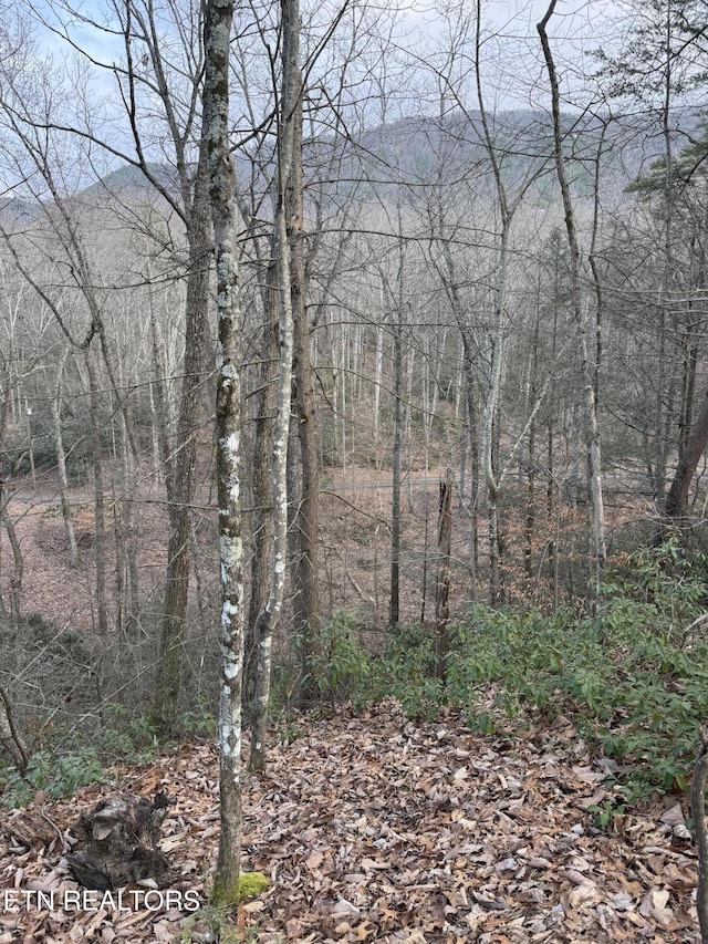 Listing photo 2 for Goose Creek Rd, Seymour TN 37865