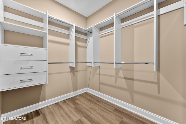 spacious closet featuring hardwood / wood-style floors