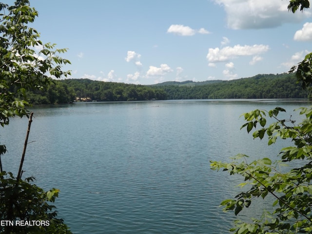 Listing photo 2 for TBD Lake Hollow Rd, Speedwell TN 37870