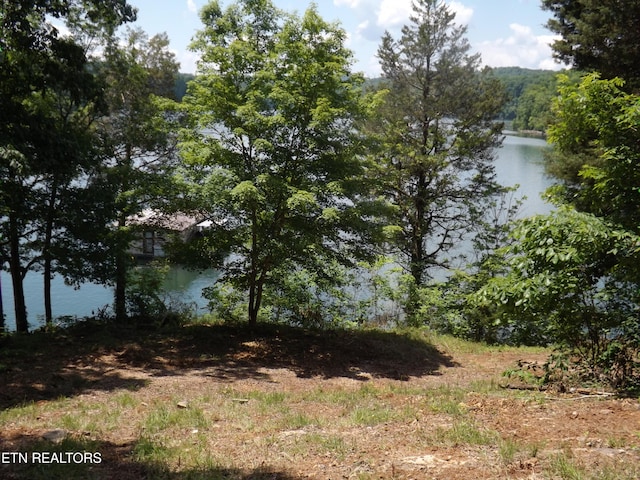 TBD Lake Hollow Rd, Speedwell TN, 37870 land for sale