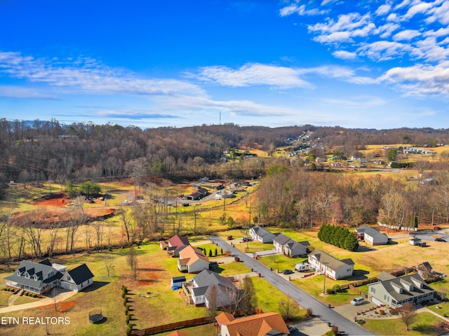 bird's eye view