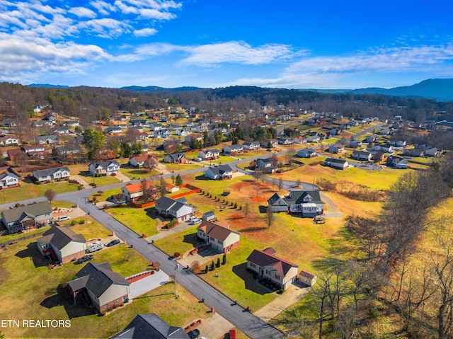 birds eye view of property featuring a mountain view