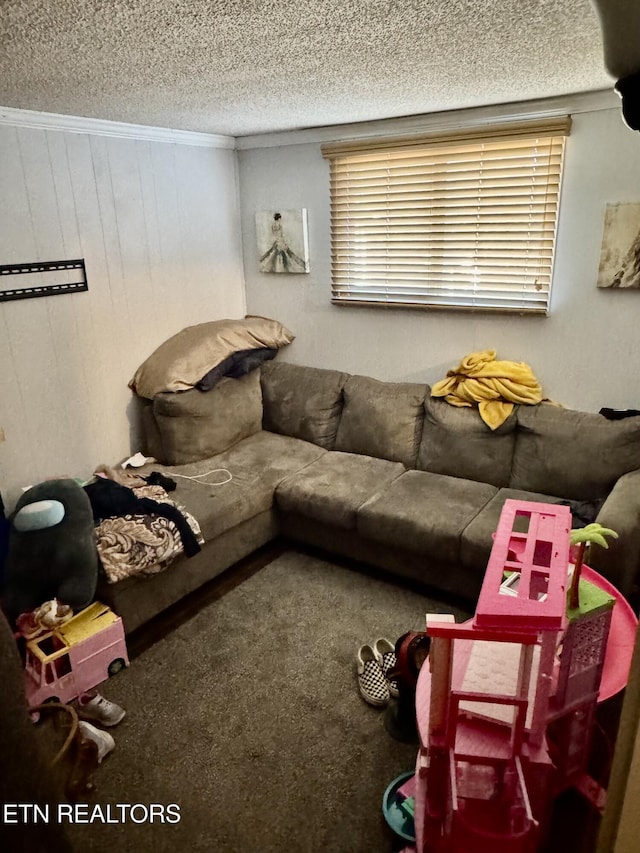 carpeted living area featuring a textured ceiling