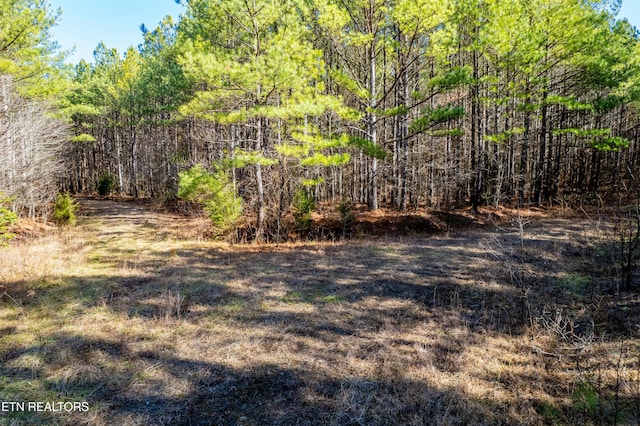 Listing photo 2 for Airport Rd, Rockwood TN 37854