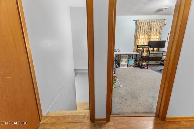 hallway with carpet floors