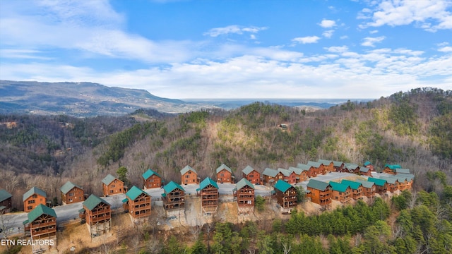 drone / aerial view with a mountain view