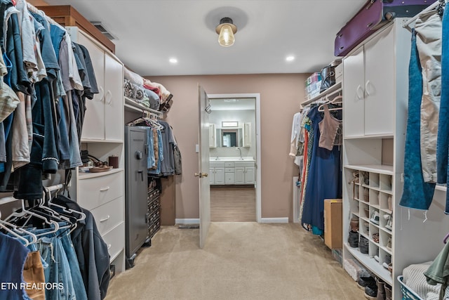1731 Vonore Rd, Loudon, TN 37774 - spacious closet featuring light carpet