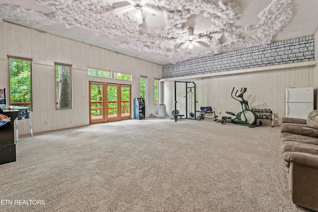 1731 Vonore Rd, Loudon, TN 37774 - exercise area featuring carpet and ceiling fan