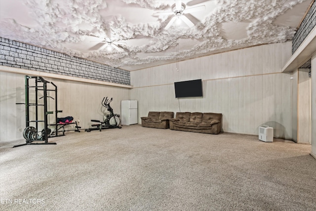 1731 Vonore Rd, Loudon, TN 37774 - workout area with carpet floors