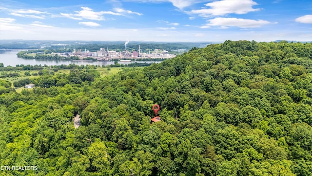 1731 Vonore Rd, Loudon, TN 37774 - bird's eye view of a large body of water and a forest