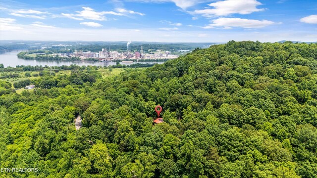 1731 Vonore Rd, Loudon, TN 37774 - photo 39