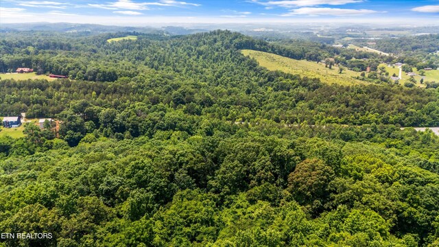 1731 Vonore Rd, Loudon, TN 37774 - bird's eye view of a heavily wooded area