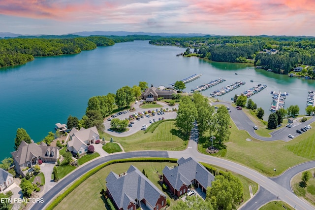 bird's eye view featuring a water view and a forest view