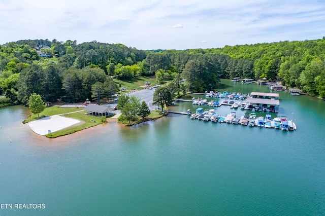 birds eye view of property with a water view and a forest view