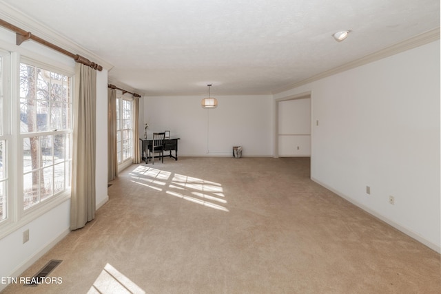 interior space with crown molding