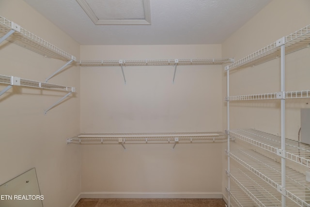 view of spacious closet