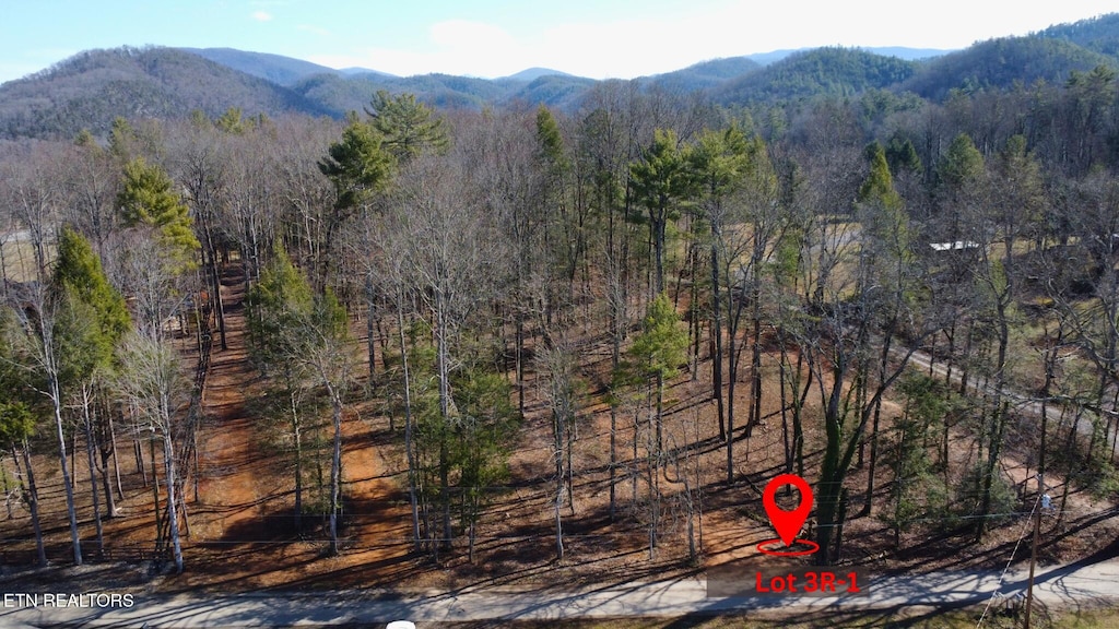 159 Bethel Church Rd, Townsend, TN 37882 - photo 1