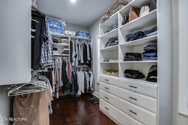 walk in closet with dark hardwood / wood-style flooring