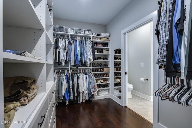 spacious closet featuring dark hardwood / wood-style floors