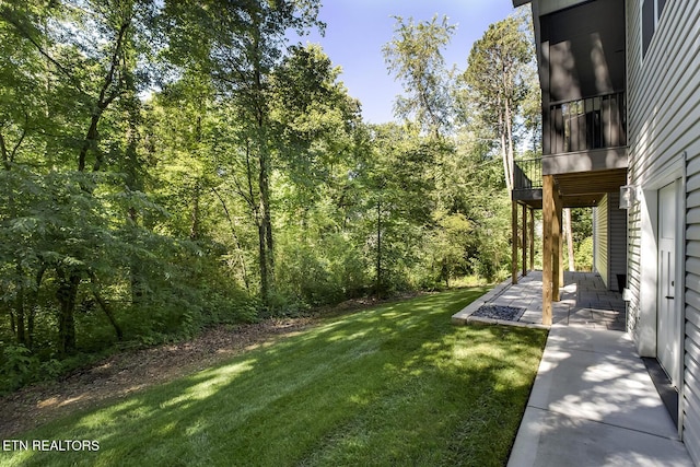 view of yard featuring a patio