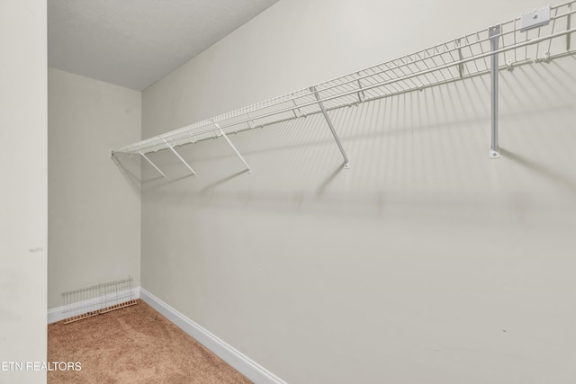 walk in closet featuring carpet flooring