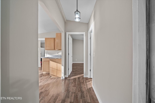 hall featuring dark hardwood / wood-style floors