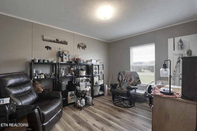 office area with hardwood / wood-style flooring, crown molding, and a textured ceiling