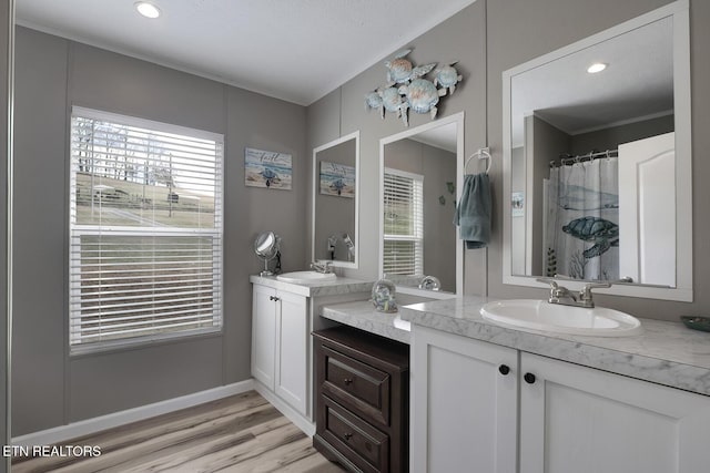 bathroom with hardwood / wood-style flooring and vanity